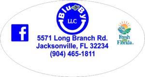 Blu By U Blueberry Farm Jacksonville Florida u-pick blueberries | upickfarmlocator.com
